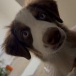 Jessica Review