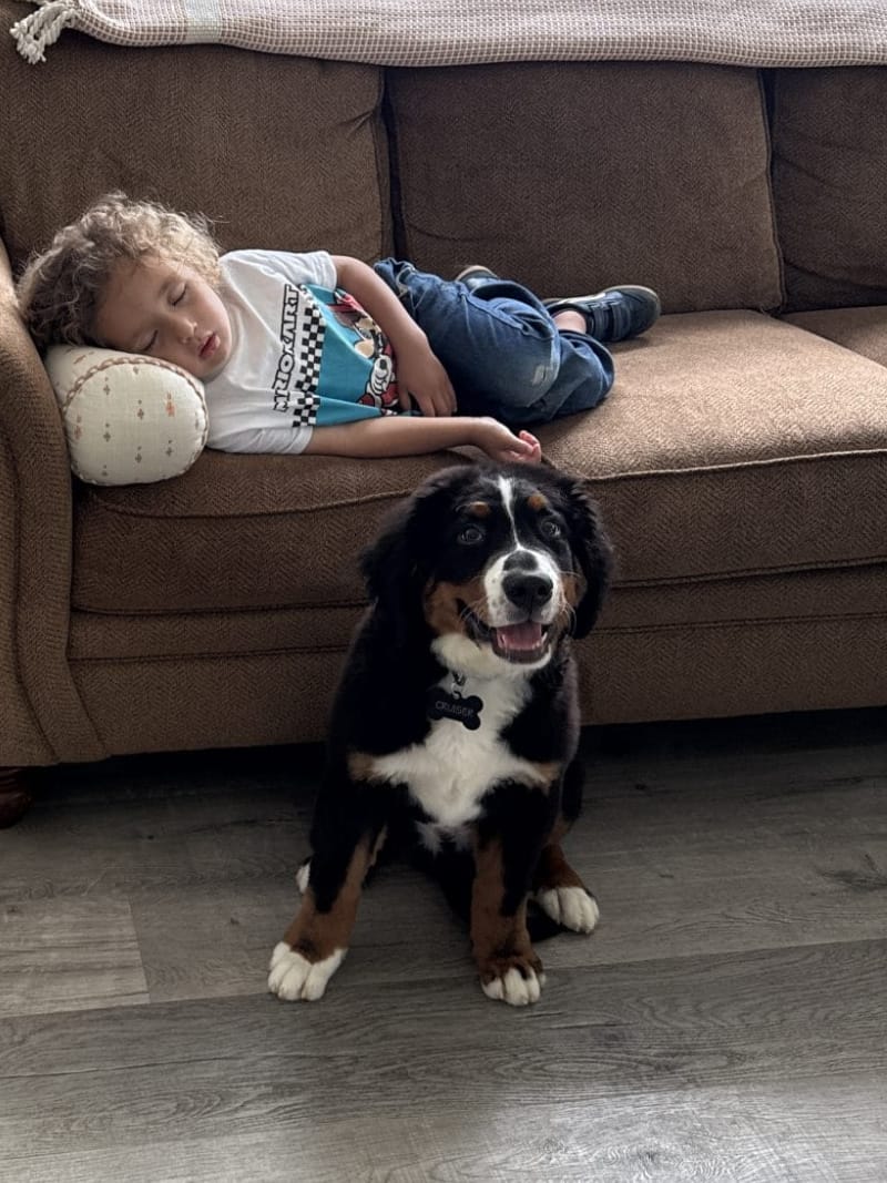 Our Gentle Giant 12 Heidi Valencia Review