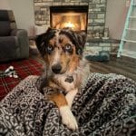 Kyle Kizer Review