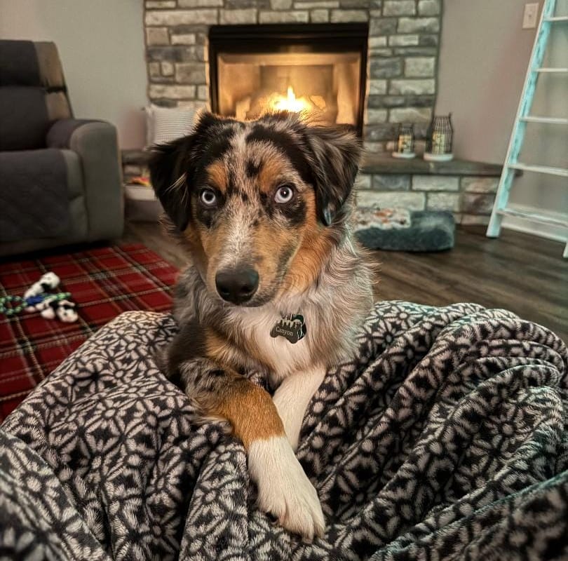 Canyon (formerly Skylar) 6 Kyle Kizer Review